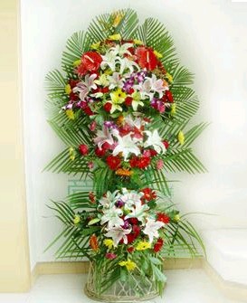 ���\(y��n)���