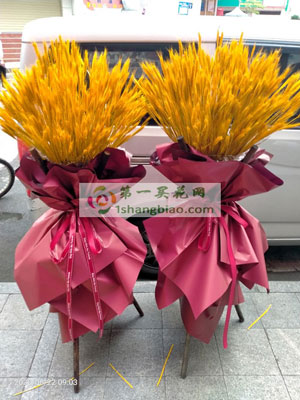 �������@һ��(du��)