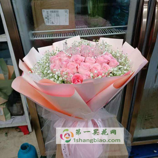 ��������/33���õ��